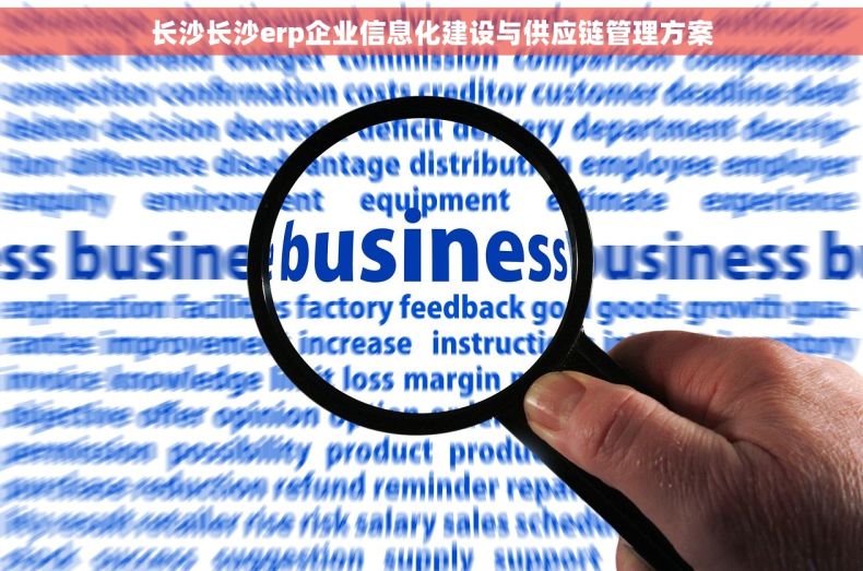 长沙长沙erp企业信息化建设与供应链管理方案