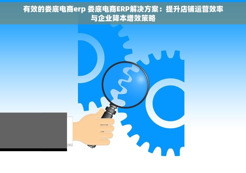 有效的娄底电商erp 娄底电商ERP解决方案：提升店铺运营效率与企业降本增效策略