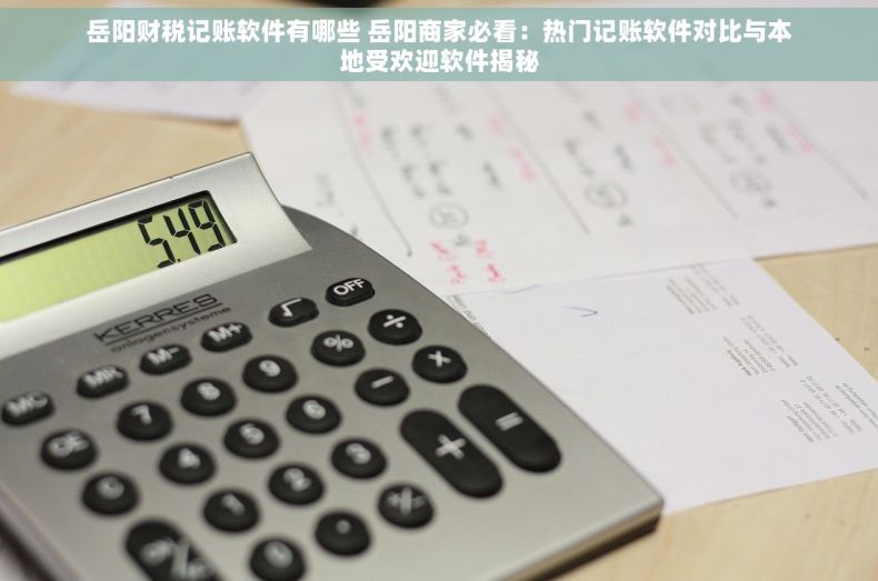 岳阳财税记账软件有哪些 岳阳商家必看：热门记账软件对比与本地受欢迎软件揭秘