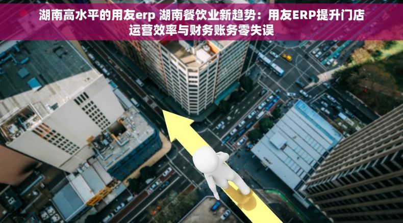 湖南高水平的用友erp 湖南餐饮业新趋势：用友ERP提升门店运营效率与财务账务零失误