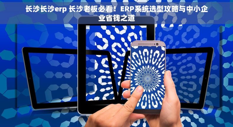 长沙长沙erp 长沙老板必看！ERP系统选型攻略与中小企业省钱之道