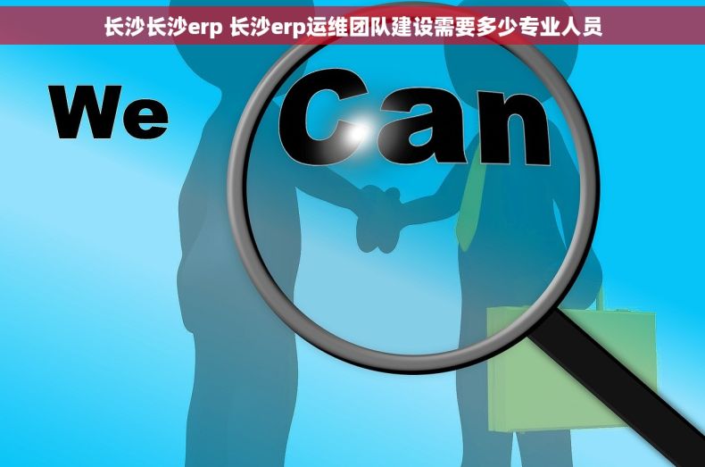 长沙长沙erp 长沙erp运维团队建设需要多少专业人员