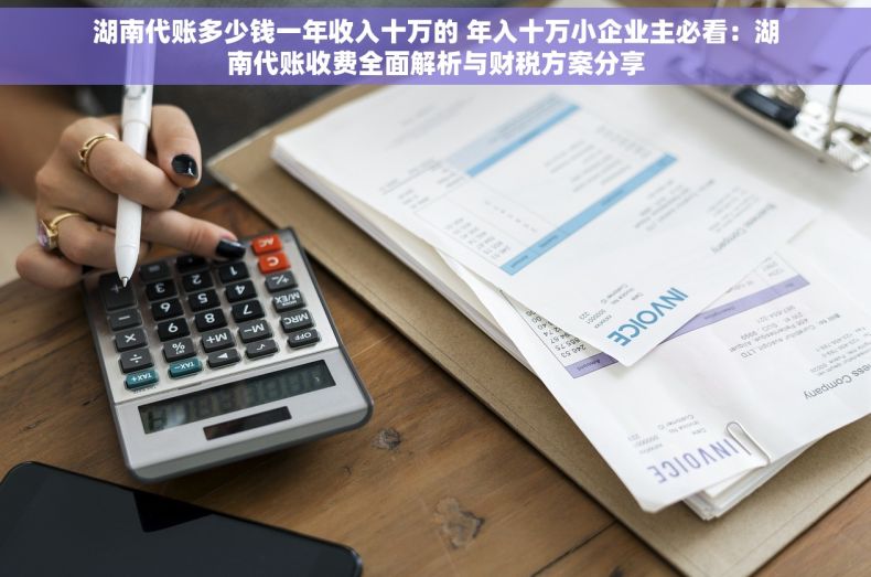 湖南代账多少钱一年收入十万的 年入十万小企业主必看：湖南代账收费全面解析与财税方案分享