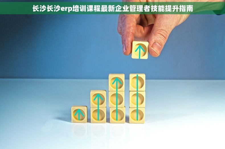 长沙长沙erp培训课程最新企业管理者技能提升指南