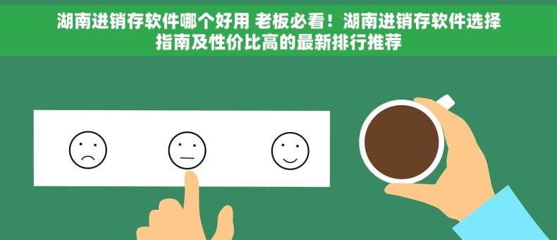 湖南进销存软件哪个好用 老板必看！湖南进销存软件选择指南及性价比高的最新排行推荐