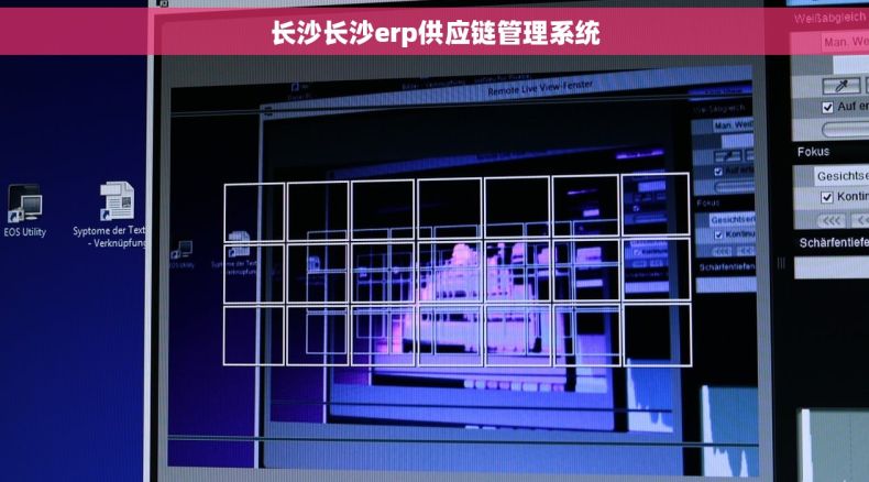长沙长沙erp供应链管理系统