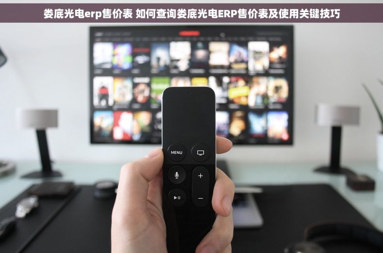 娄底光电erp售价表 如何查询娄底光电ERP售价表及使用关键技巧