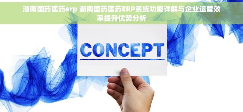 湖南国药医药erp 湖南国药医药ERP系统功能详解与企业运营效率提升优势分析