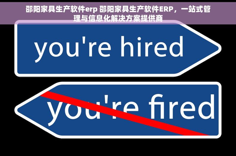 邵阳家具生产软件erp 邵阳家具生产软件ERP，一站式管理与信息化解决方案提供商