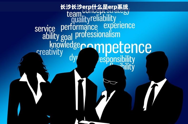 长沙长沙erp什么是erp系统