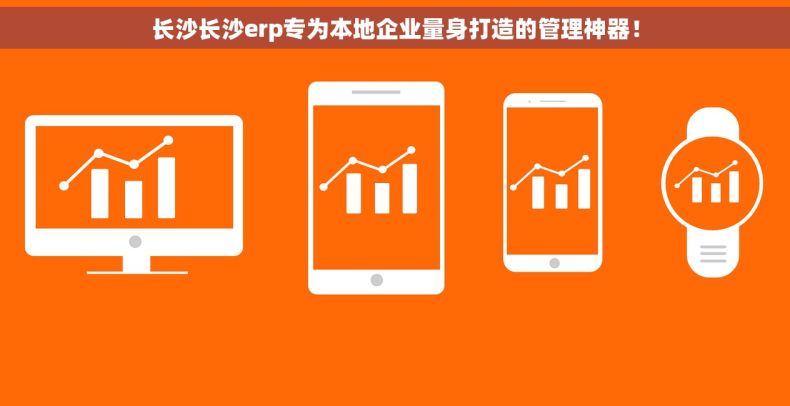 长沙长沙erp专为本地企业量身打造的管理神器！