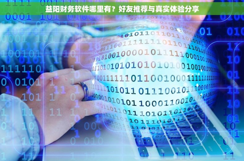 益阳财务软件哪里有？好友推荐与真实体验分享