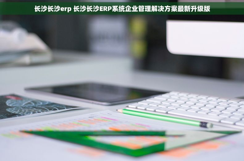长沙长沙erp 长沙长沙ERP系统企业管理解决方案最新升级版