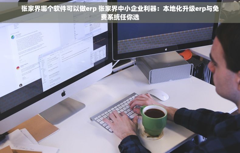 张家界哪个软件可以做erp 张家界中小企业利器：本地化升级erp与免费系统任你选