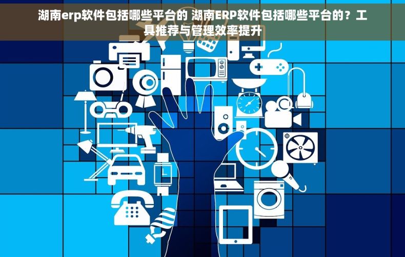 湖南erp软件包括哪些平台的 湖南ERP软件包括哪些平台的？工具推荐与管理效率提升