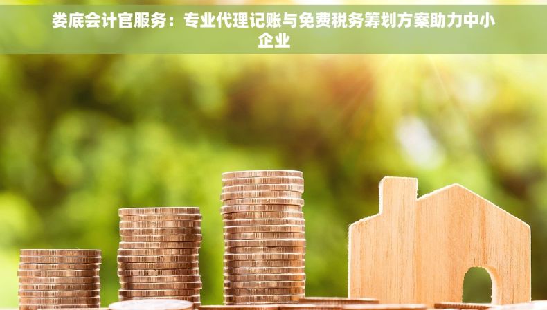 娄底会计官服务：专业代理记账与免费税务筹划方案助力中小企业