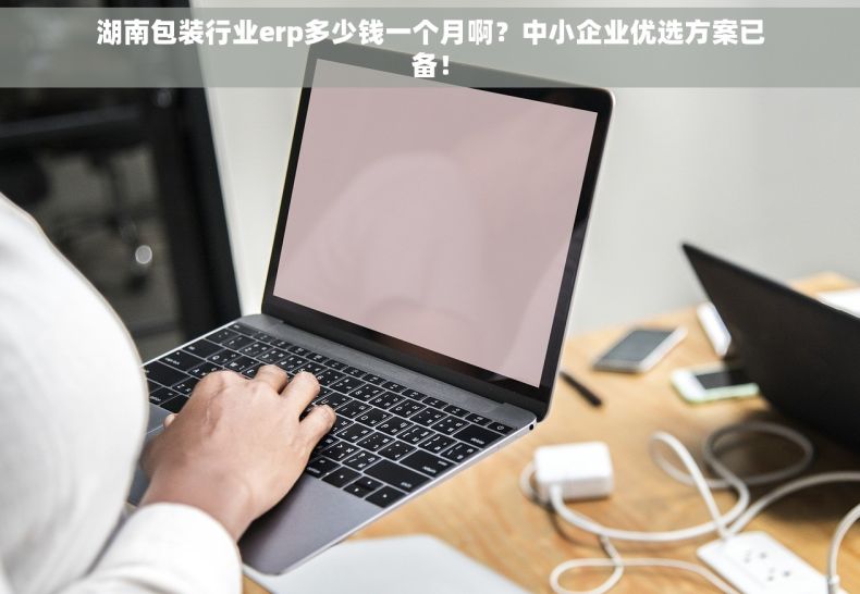 湖南包装行业erp多少钱一个月啊？中小企业优选方案已备！