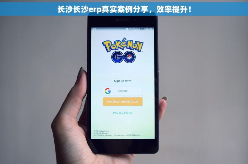 长沙长沙erp真实案例分享，效率提升！
