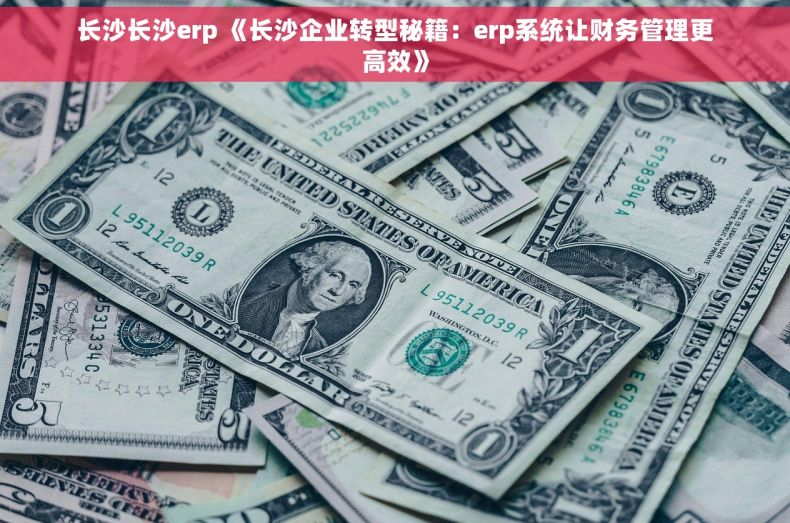长沙长沙erp 《长沙企业转型秘籍：erp系统让财务管理更高效》