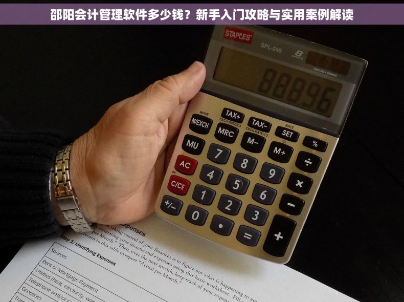 邵阳会计管理软件多少钱？新手入门攻略与实用案例解读