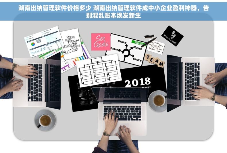 湖南出纳管理软件价格多少 湖南出纳管理软件成中小企业盈利神器，告别混乱账本焕发新生