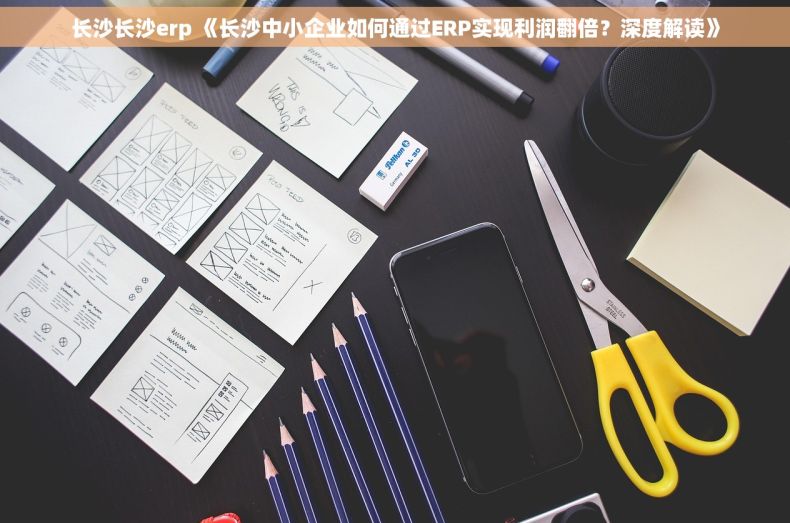 长沙长沙erp 《长沙中小企业如何通过ERP实现利润翻倍？深度解读》