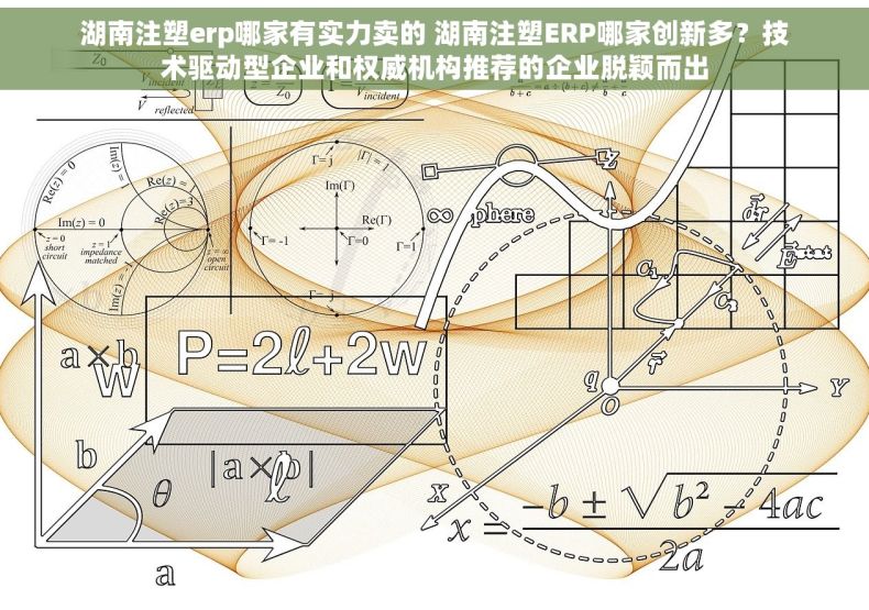 湖南注塑erp哪家有实力卖的 湖南注塑ERP哪家创新多？技术驱动型企业和权威机构推荐的企业脱颖而出