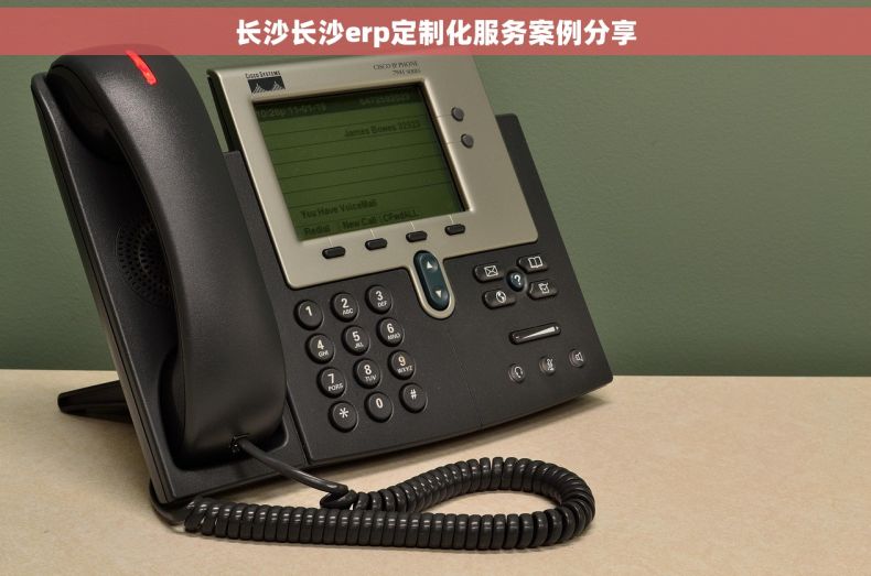 长沙长沙erp定制化服务案例分享