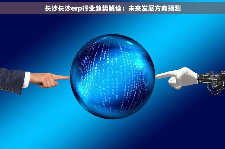 长沙长沙erp行业趋势解读：未来发展方向预测
