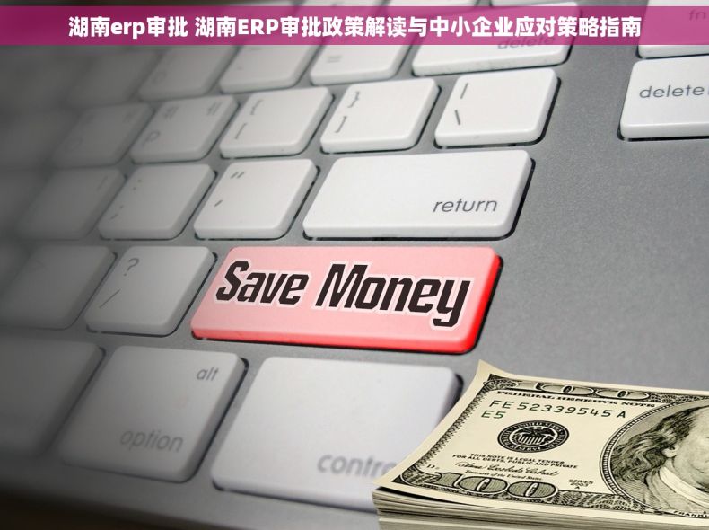 湖南erp审批 湖南ERP审批政策解读与中小企业应对策略指南
