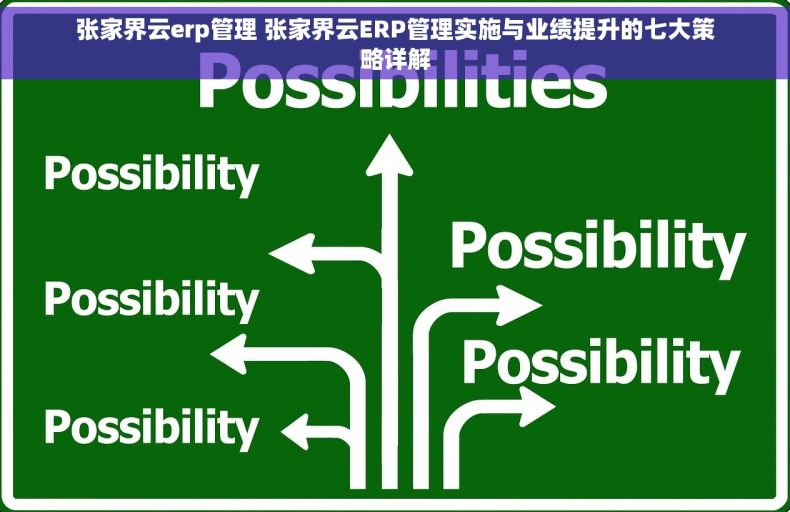 张家界云erp管理 张家界云ERP管理实施与业绩提升的七大策略详解