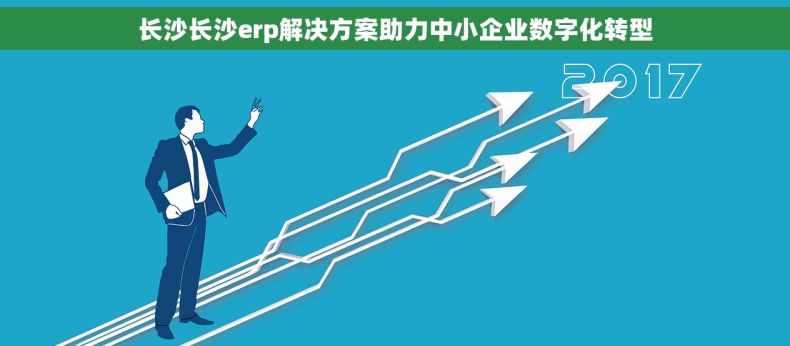 长沙长沙erp解决方案助力中小企业数字化转型