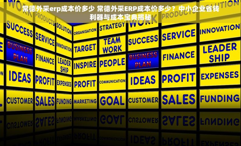 常德外采erp成本价多少 常德外采ERP成本价多少？中小企业省钱利器与成本宝典揭秘
