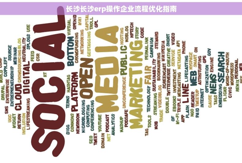 长沙长沙erp操作企业流程优化指南
