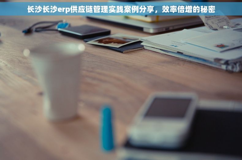 长沙长沙erp供应链管理实践案例分享，效率倍增的秘密