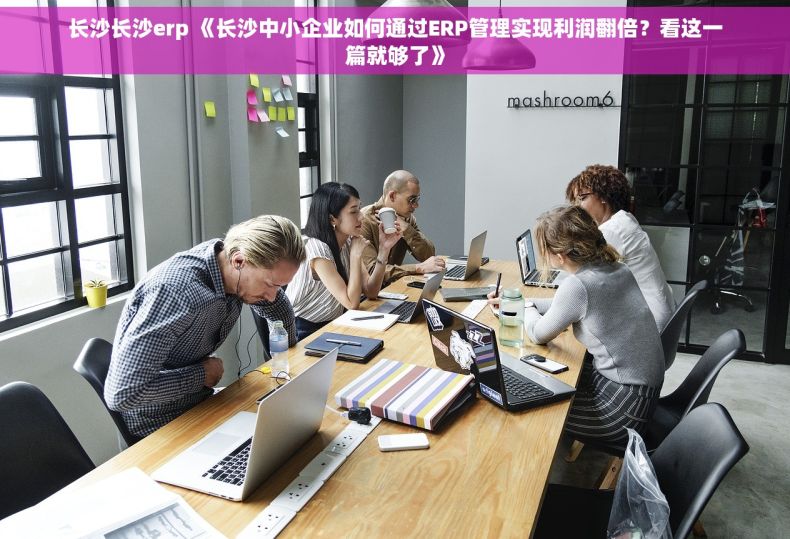 长沙长沙erp 《长沙中小企业如何通过ERP管理实现利润翻倍？看这一篇就够了》