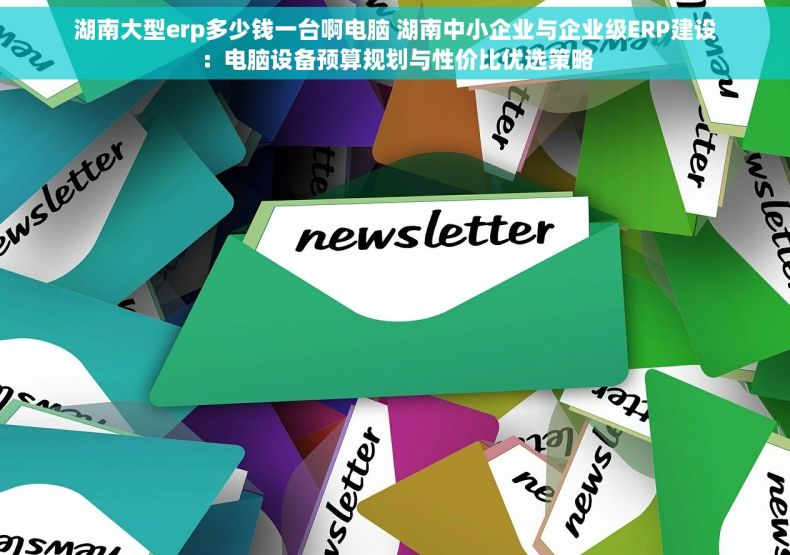 湖南大型erp多少钱一台啊电脑 湖南中小企业与企业级ERP建设：电脑设备预算规划与性价比优选策略