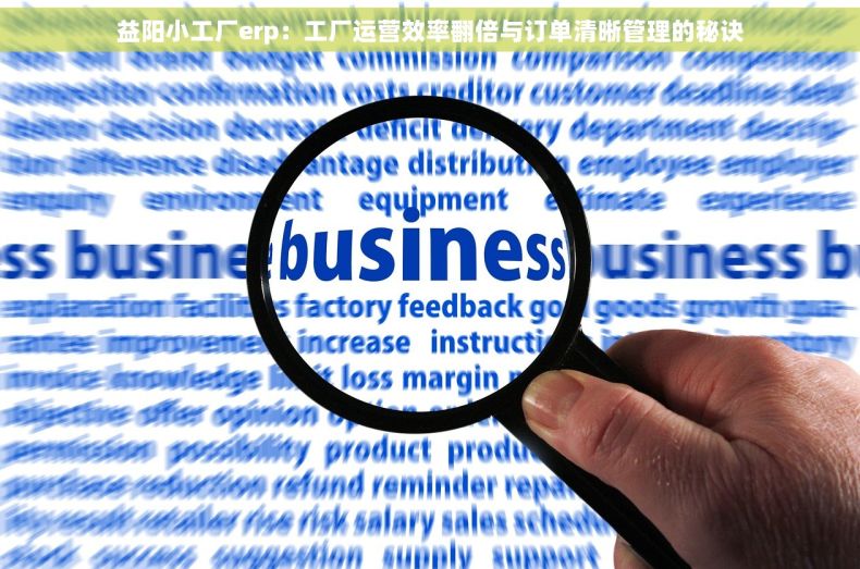 益阳小工厂erp：工厂运营效率翻倍与订单清晰管理的秘诀