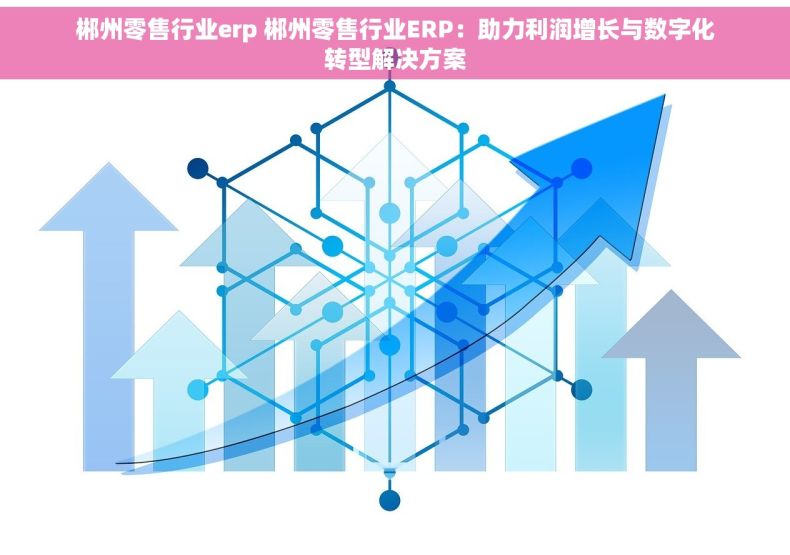 郴州零售行业erp 郴州零售行业ERP：助力利润增长与数字化转型解决方案