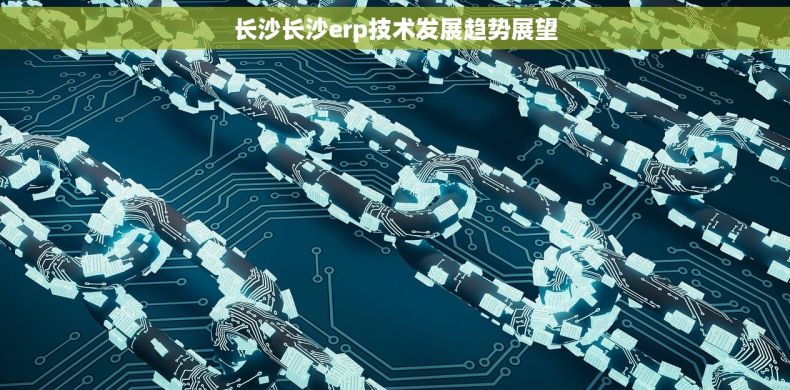 长沙长沙erp技术发展趋势展望