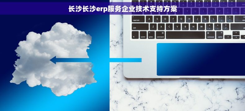 长沙长沙erp服务企业技术支持方案