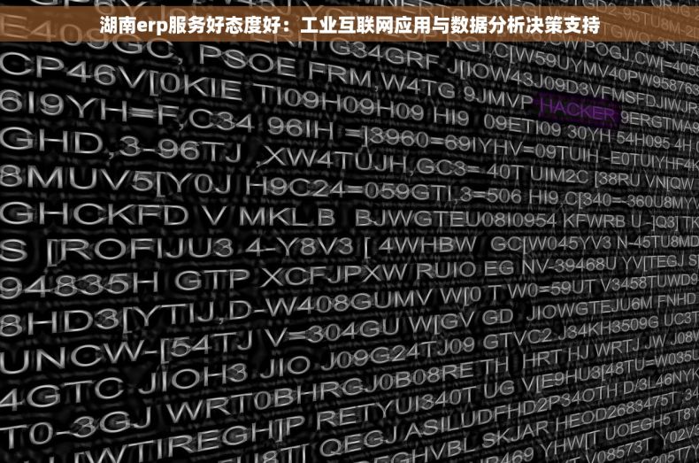 湖南erp服务好态度好：工业互联网应用与数据分析决策支持