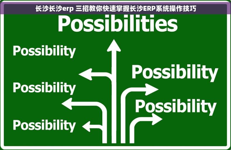 长沙长沙erp 三招教你快速掌握长沙ERP系统操作技巧