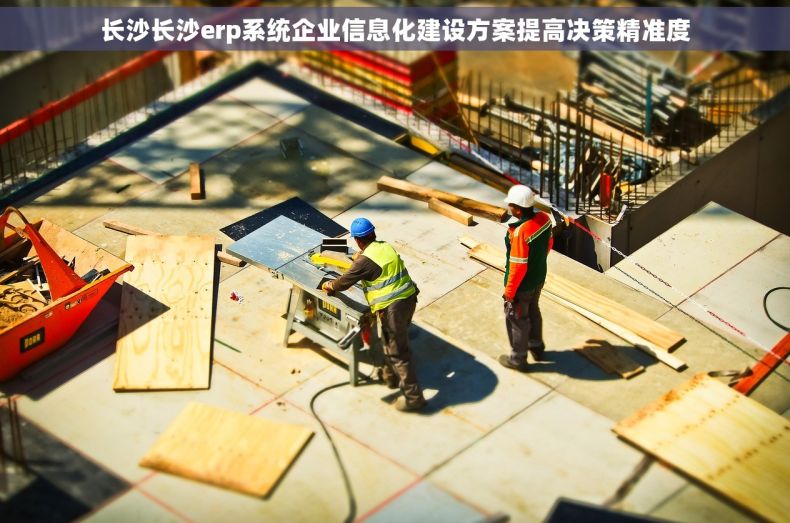 长沙长沙erp系统企业信息化建设方案提高决策精准度