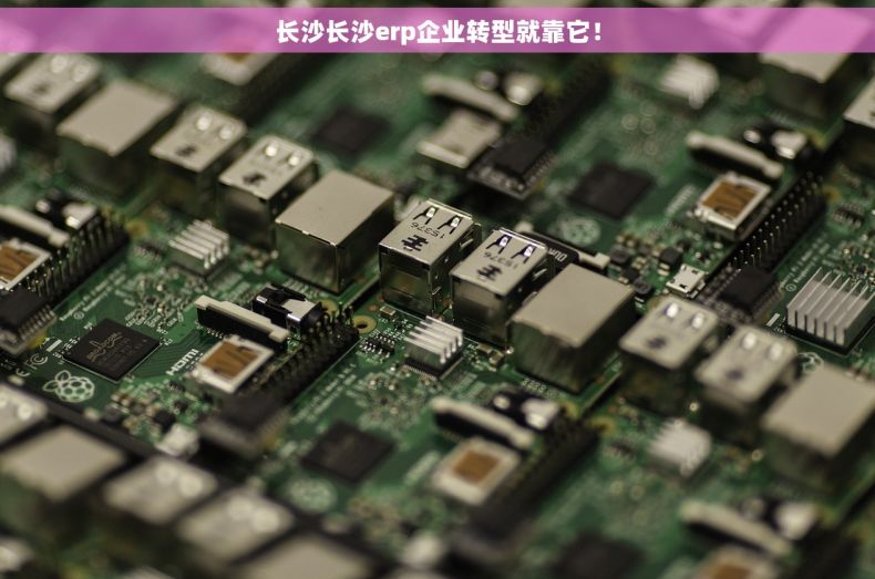 长沙长沙erp企业转型就靠它！