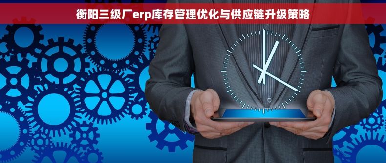 衡阳三级厂erp库存管理优化与供应链升级策略