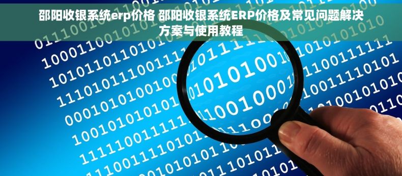 邵阳收银系统erp价格 邵阳收银系统ERP价格及常见问题解决方案与使用教程