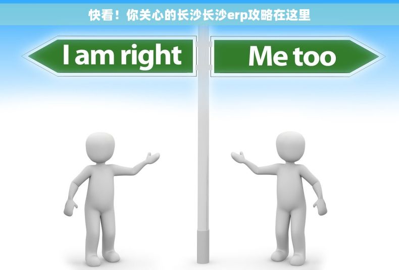 快看！你关心的长沙长沙erp攻略在这里