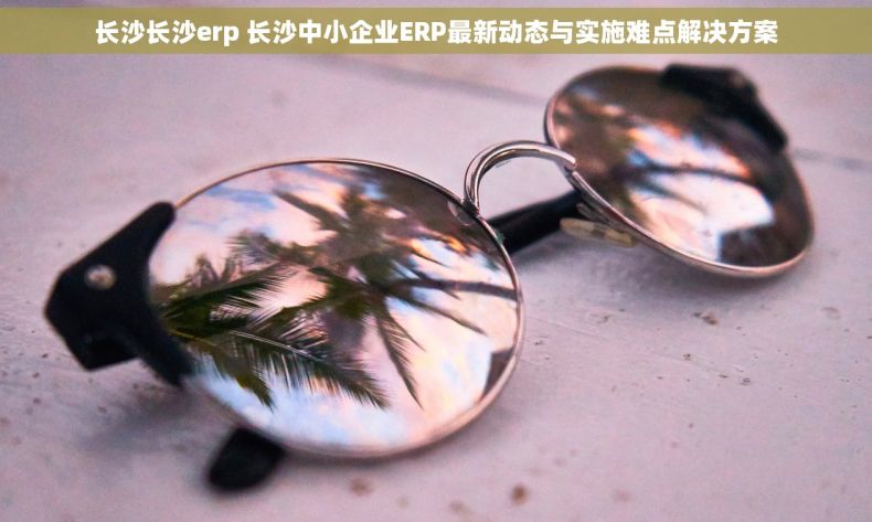 长沙长沙erp 长沙中小企业ERP最新动态与实施难点解决方案