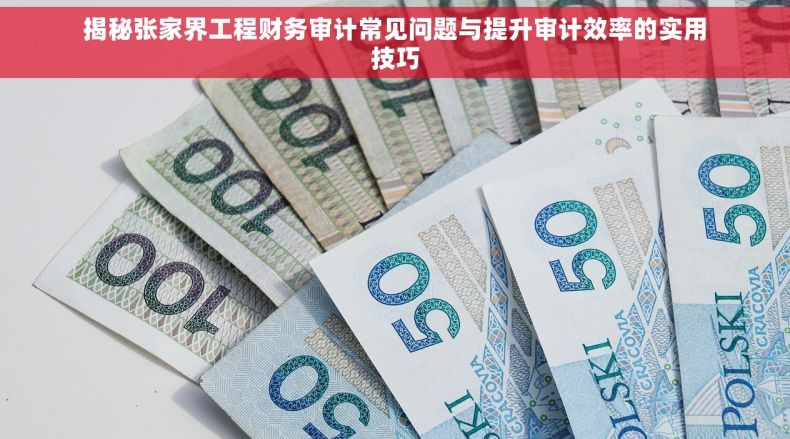 揭秘张家界工程财务审计常见问题与提升审计效率的实用技巧